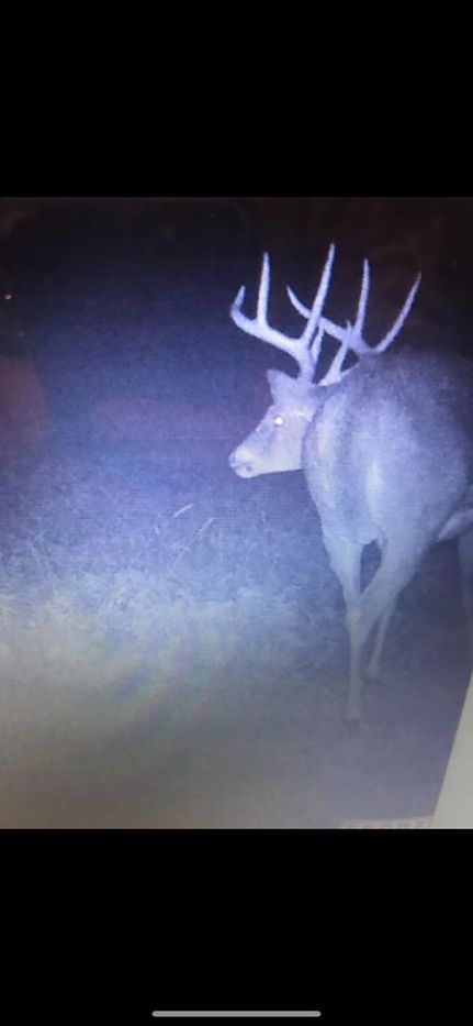 Hunting Property in Adair County, Missouri