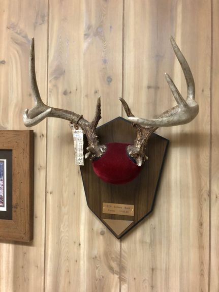 Undeveloped Land in Jackson County, Michigan