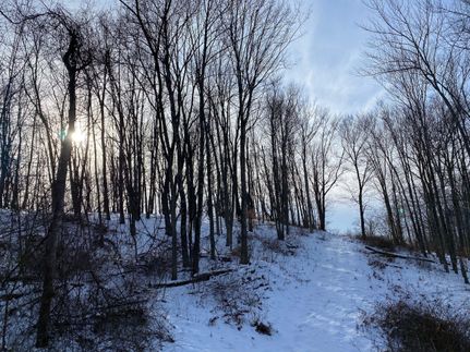 Undeveloped Land in Armstrong County, Pennsylvania
