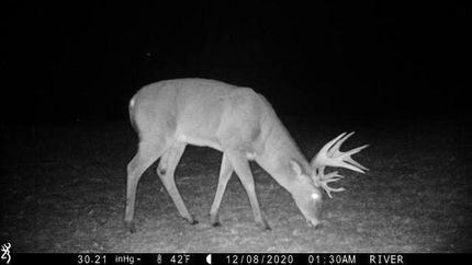 Land in Ouachita Parish, Louisiana