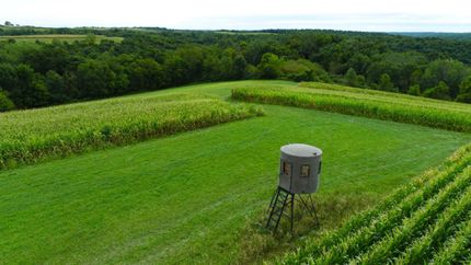 Undeveloped Land in Houston County, Minnesota