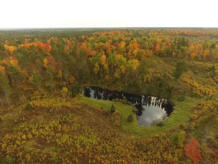 Farm and Ranch in Vilas County, Wisconsin
