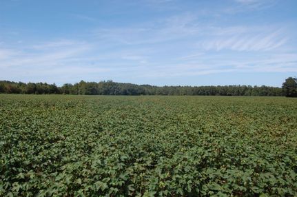 Land in Telfair County, Georgia