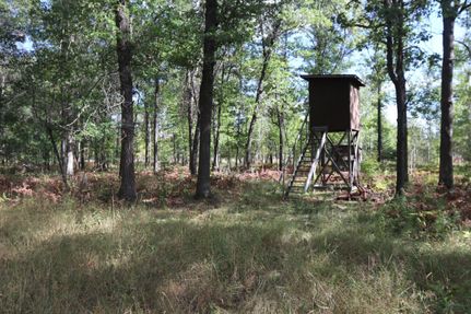 Undeveloped Land in Roscommon County, Michigan