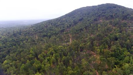 Land in Morgan County, Tennessee