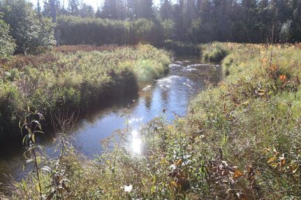 Land in Alcona County, Michigan