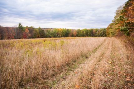 Hunting Property in Tioga County, New York
