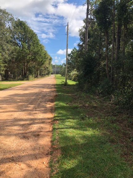 Farm and Ranch in Baldwin County, Alabama