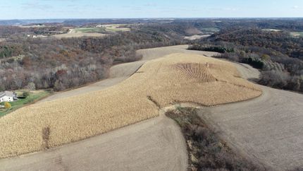 Undeveloped Land in Houston County, Minnesota
