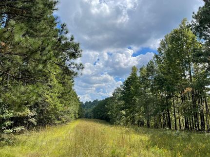 Recreational Property in Jefferson County, Alabama