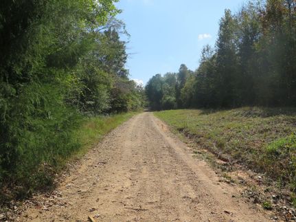 Hunting Property in Jones County, Mississippi