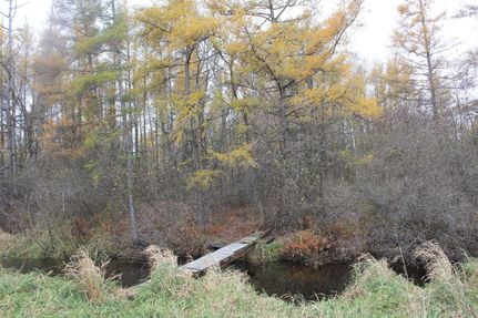Land in Waushara County, Wisconsin