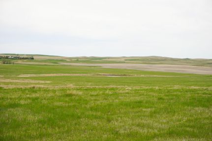 Hunting Property in Fallon County, Montana
