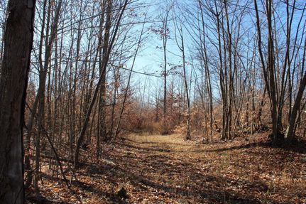 Hunting Property in Tioga County, Pennsylvania