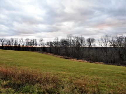 Undeveloped Land in Allamakee County, Iowa
