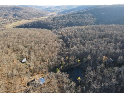 Timberland Property in Carroll County, Arkansas
