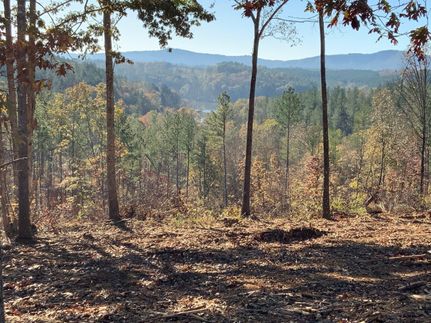 Commercial Property in Burke County, North Carolina