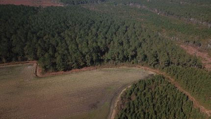 Hunting Property in Greene County, North Carolina