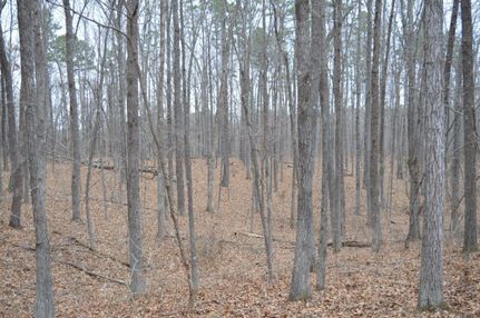 Land in Ripley County, Missouri