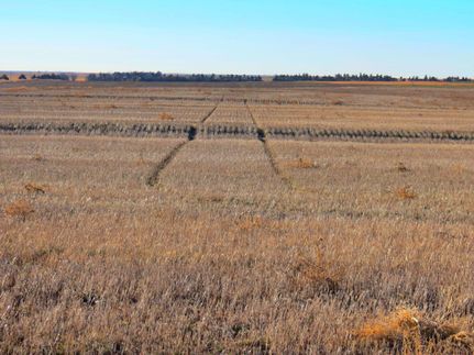 Timberland Property in Rush County, Kansas