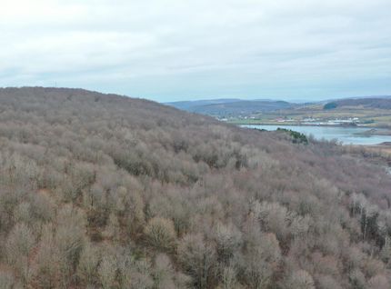 Timberland Property in Cortland County, New York