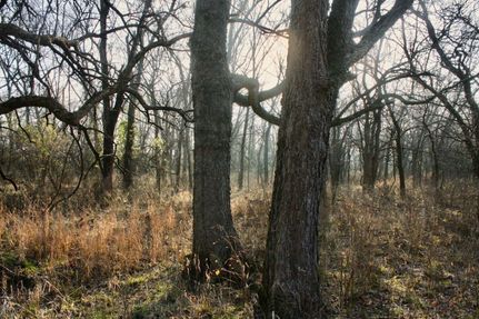 Land in Jasper County, Missouri