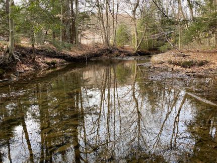 Undeveloped Land in Indiana County, Pennsylvania