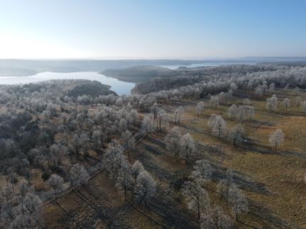 Farm and Ranch in Marion County, Arkansas