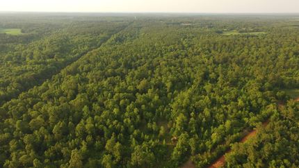 Hunting Property in Conecuh County, Alabama