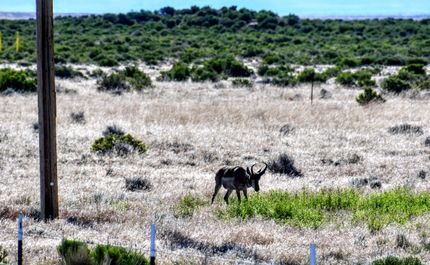 Farm and Ranch in Elko County, Nevada