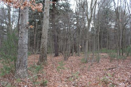 Undeveloped Land in Huntingdon County, Pennsylvania