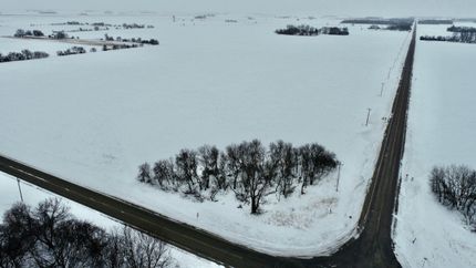 Farm and Ranch in Steele County, Minnesota