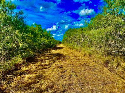 Farm and Ranch in Duval County, Texas