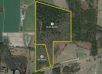 Undeveloped Land in Lowndes County, Georgia