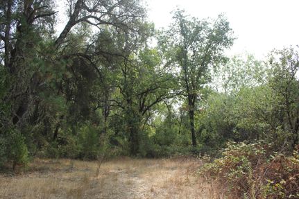 Undeveloped Land in Yuba County, California
