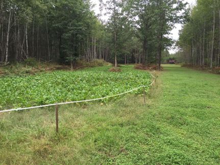 Recreational Property in Osceola County, Michigan