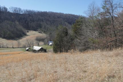 Timberland Property in Scott County, Virginia