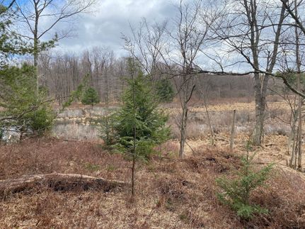 Timberland Property in Warren County, Pennsylvania