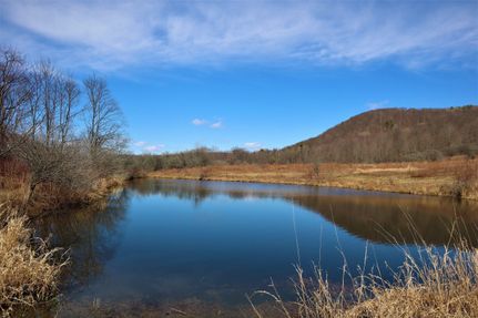 Timberland Property in Cattaraugus County, New York