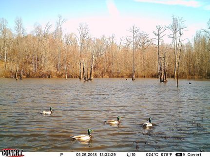 Commercial Property in Hardeman County, Tennessee