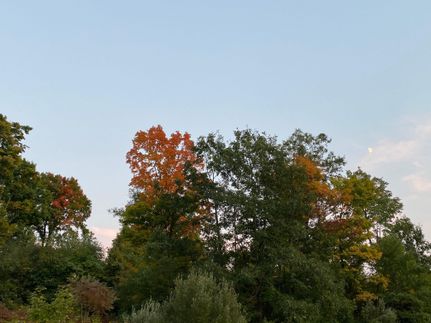Land in Indiana County, Pennsylvania