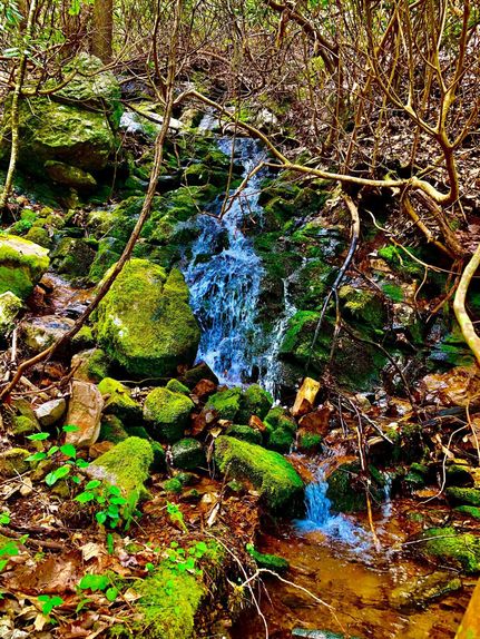 Recreational Property in Carter County, Tennessee