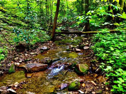 Hunting Property in Washington County, Tennessee