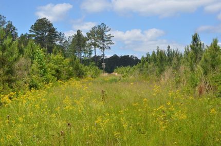 Land in Amite County, Mississippi