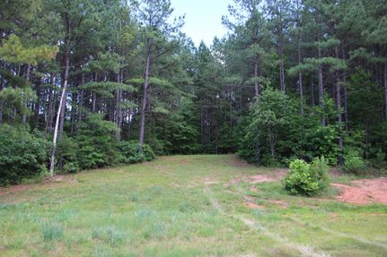 Undeveloped Land in Nelson County, Virginia