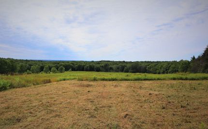 Undeveloped Land in Chautauqua County, New York