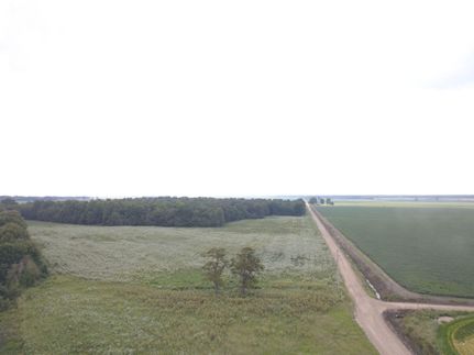 Land in Clay County, Arkansas