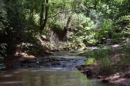 Hunting Property in Hancock County, Georgia
