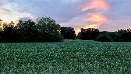 Farm and Ranch in Lincoln County, Missouri