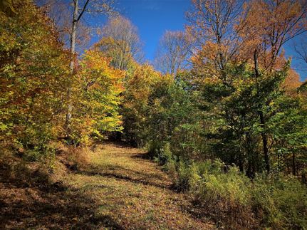 Timberland Property in Allegany County, New York